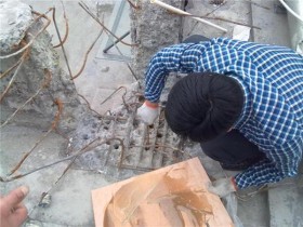 植筋加固 